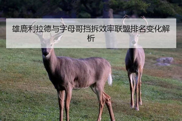 雄鹿利拉德与字母哥挡拆效率联盟排名变化解析