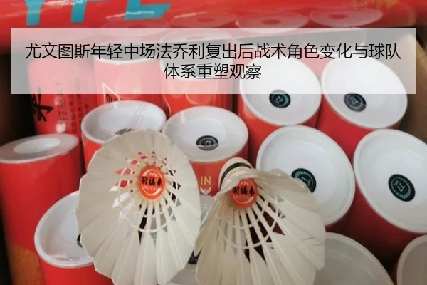 尤文图斯年轻中场法乔利复出后战术角色变化与球队体系重塑观察（kaiyun）