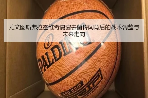尤文图斯弗拉霍维奇夏窗去留传闻背后的战术调整与未来走向（kaiyun）
